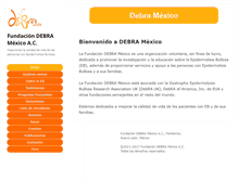 Tablet Screenshot of debra.org.mx